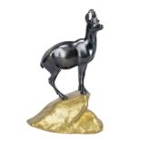 Hans Mülller (1873-1937), chamois buck, bronze, dark brown and gold patinated, signed in the terrain