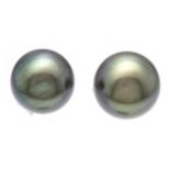 Tahitian pearl ear studs WG 590/000 with 2 Tahitian pearls 7.3 mm, gray with brownish-green