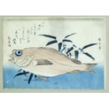 2 woodblock prints with fish, Japan 19th century (Meiji), Oban formats framed behind glass. Slightly