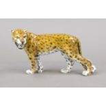 Leopard, Rosenthal, Marke nach