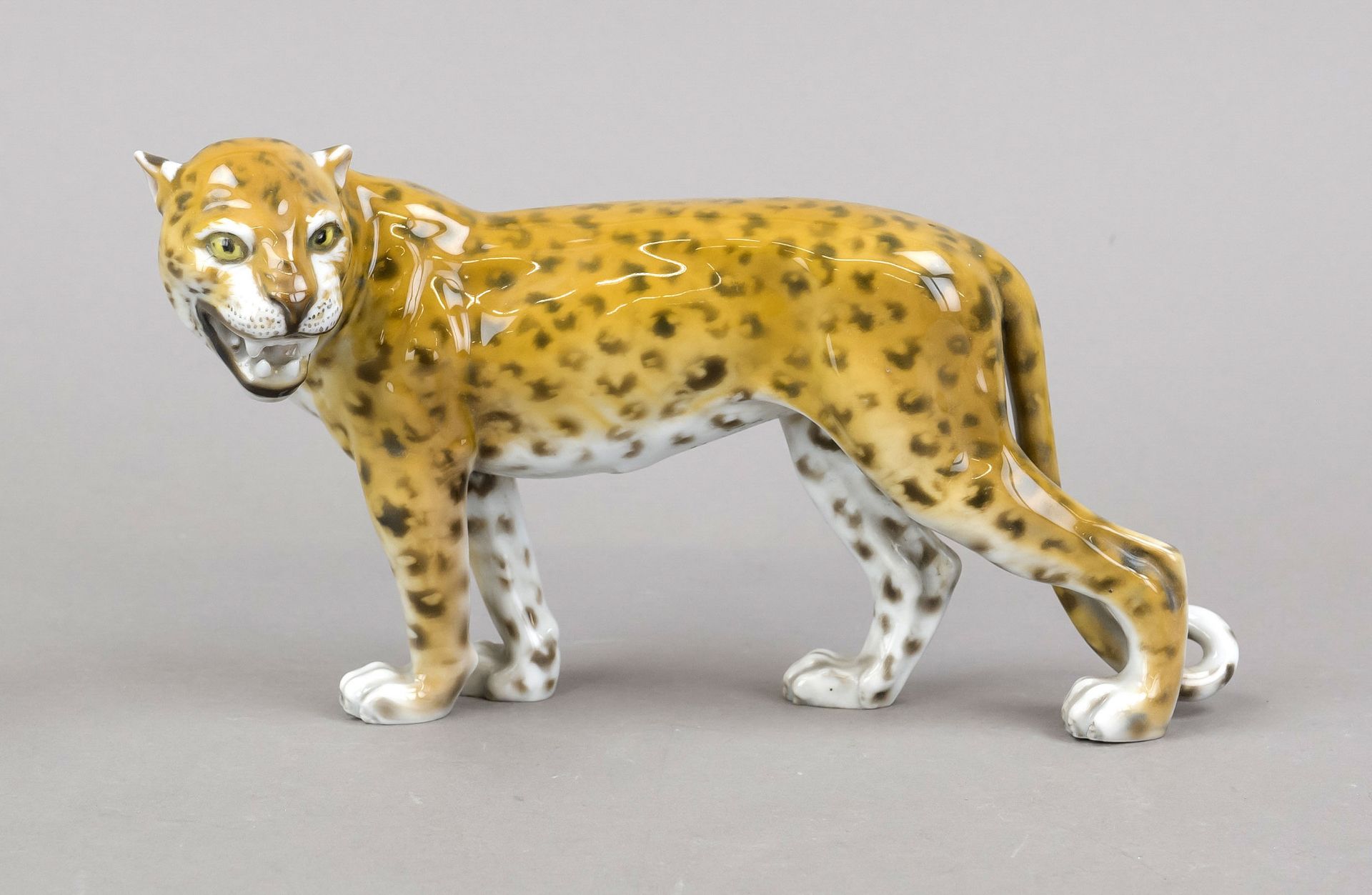 Leopard, Rosenthal, Marke nach