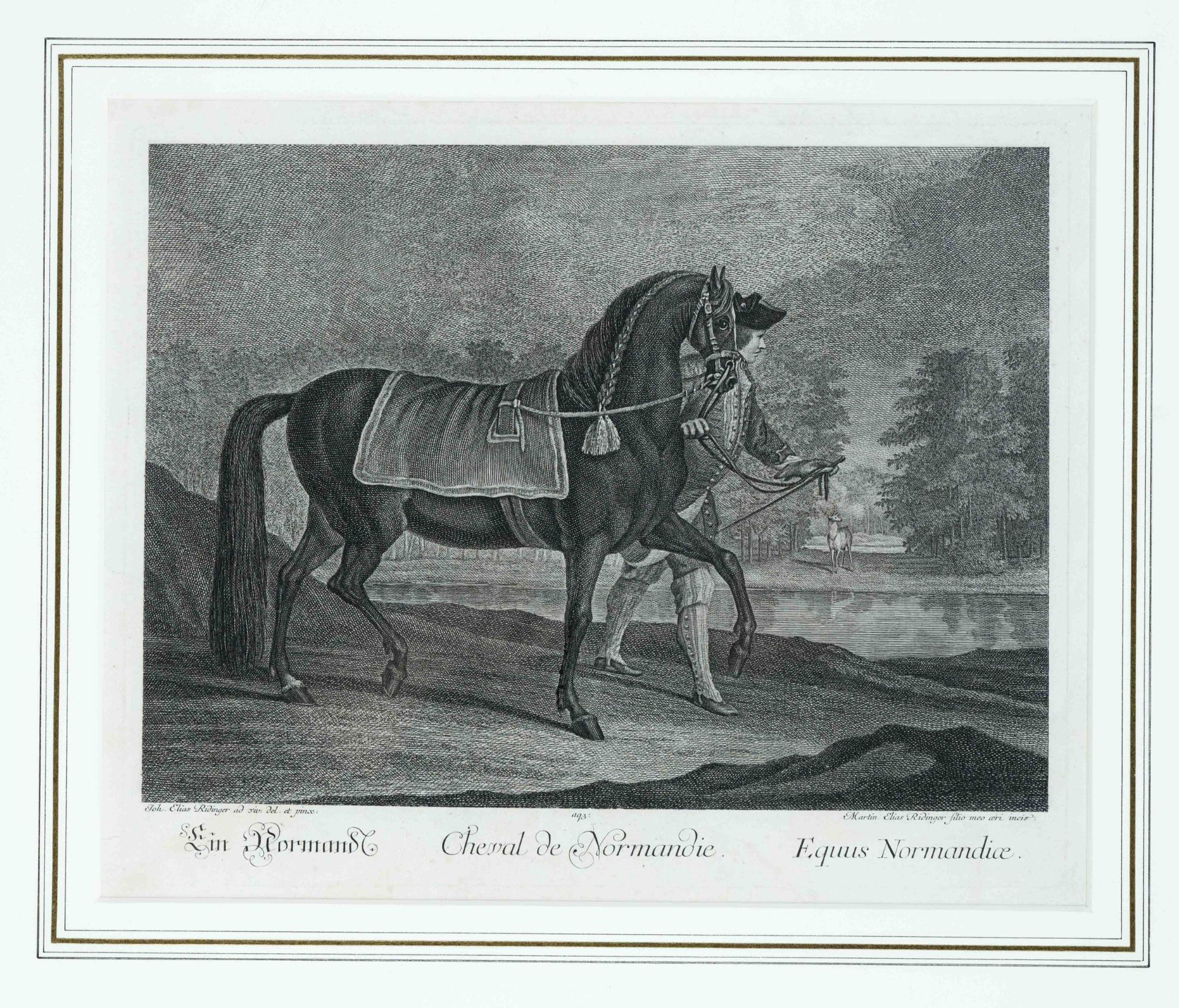 Johann Elias Ridinger (1698-1767), bundle of 6 etchings from the so-called small riding school, '' - Image 2 of 3