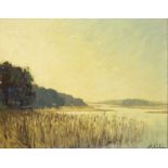 Heinrich Petersen (1881-1955), Schleswig-Holstein landscape painter, Water landscape, oil on card,