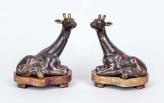 Pair of cloisonné giraffes, China, 19th century (Qing). Reclining giraffes with craned necks.