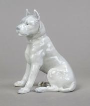 Sitting mastiff, Lichte, Gebrüder Heubach, Thuringia, mark 1882-1915, lightly painted in