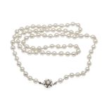 Akoya pearl necklace with clasp WG 585/000 set with 7 ceme white Akoya pearls 5 and 4 mm, strand