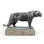 E. Wossidlo, sculptor c. 1920, tiger, patinated bronze on marble plinth, signed on stand, l. 46 x h.