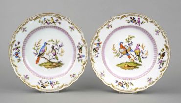 Two plates, Meissen, Knauff Schwerter 1850-1924, 1st choice, polychrome bird painting in the