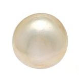 Single mabé pearl ear clip GG 750/000 with a creamy white mabé pearl 17 mm, 5.4 g