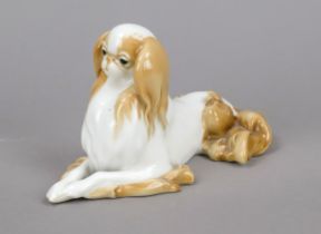 Reclining dog, Hutschenreuther, art department, Selb, before 1969, naturalistically painted in