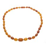 Amber necklace of 35 amber olives 23 x 17 - 11 x 8 mm in lighter to darker butterscotch colors, with