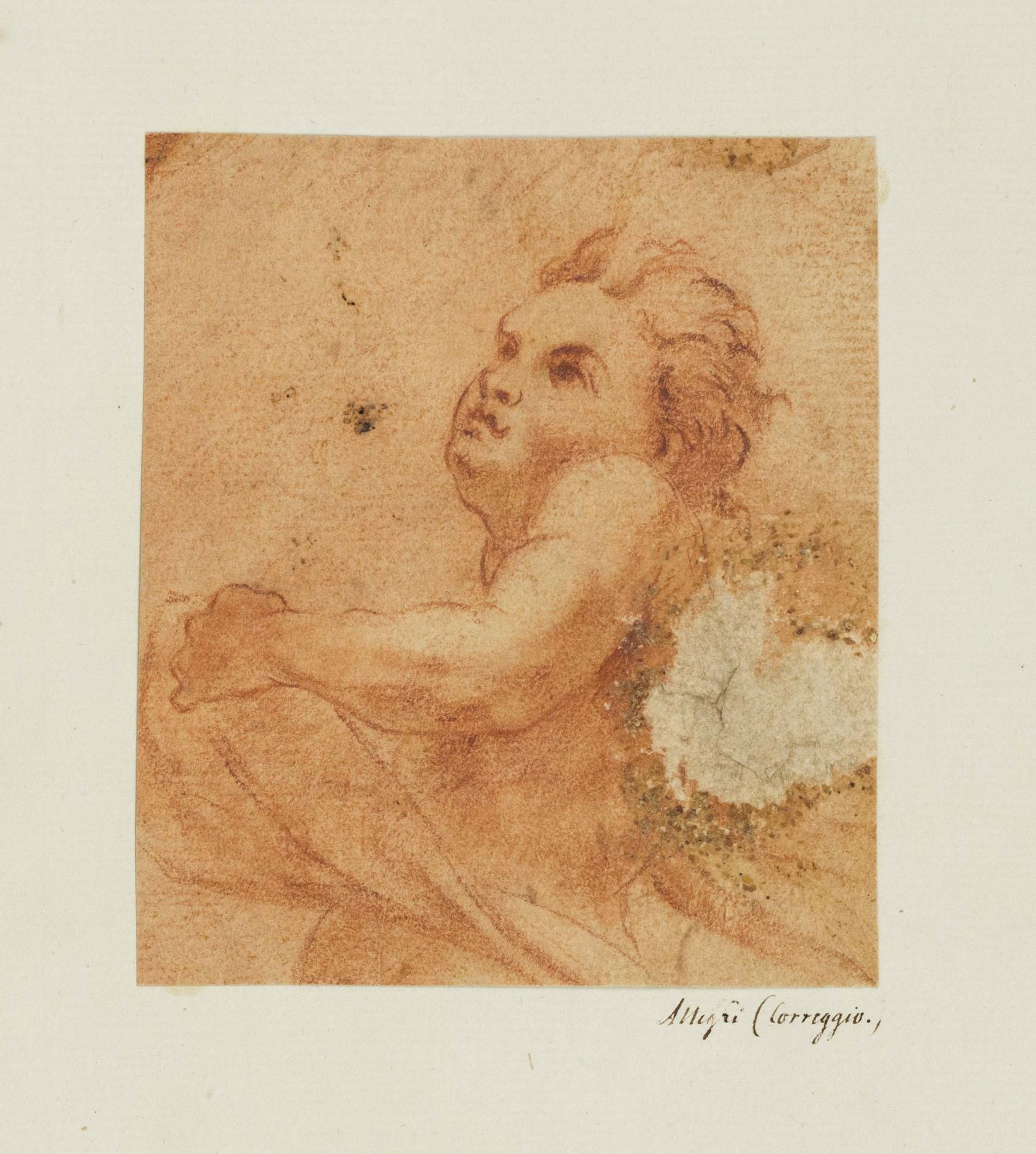 Unidentified 16th/17th century draughtsman, study of a putto gazing upwards, red chalk and traces of