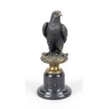 Archibald Thorburn (1860-1935), after, falcon, patinated bronze, late 20th century, on marble