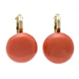 Coral ear clips GG 585/000 with 2 fine round coral boutons 13 mm in very slightly marbled orangish