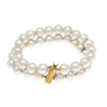 2-row Akoya pearl bracelet with box clasp GG 585/000, strands of cream-colored Akoya pearls 8.5