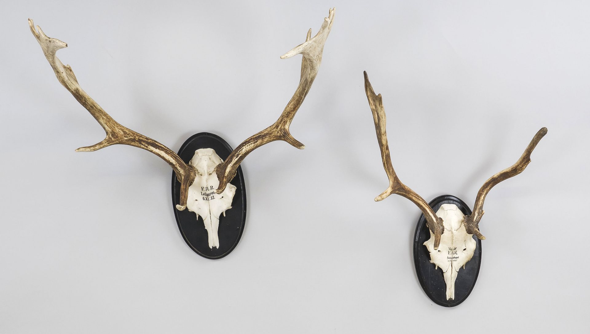 2 antlers, mounted on carved, black painted trophy plates, the skull plates inscribed ''F.A.R.