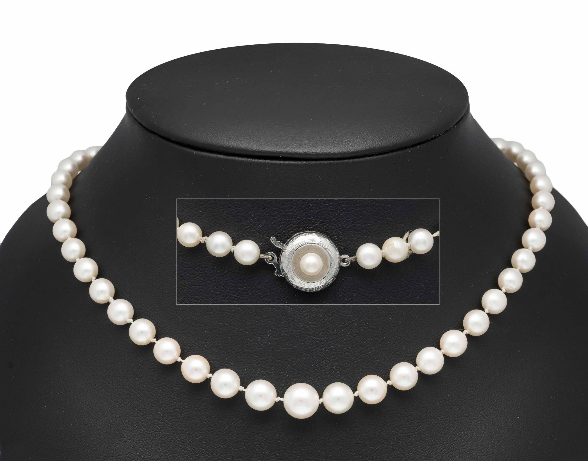 Akoya pearl necklace with pin clasp WG 333/000 set with ceme white Akoya pearl 5 mm, strand of