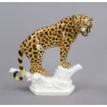 Leopard, Volkstedt, Thuringia, 20th century, expressive figure of a leopard with fixed gaze turned