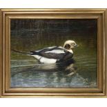 Niels Peter Rasmussen (1847-1918), Danish animal and flower painter, Duck on a pond bank, oil on