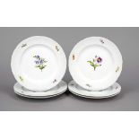 Six dessert plates, Nymphenburg, 1925-1975, ribbed rim, polychrome flower painting, Ø 21 cm