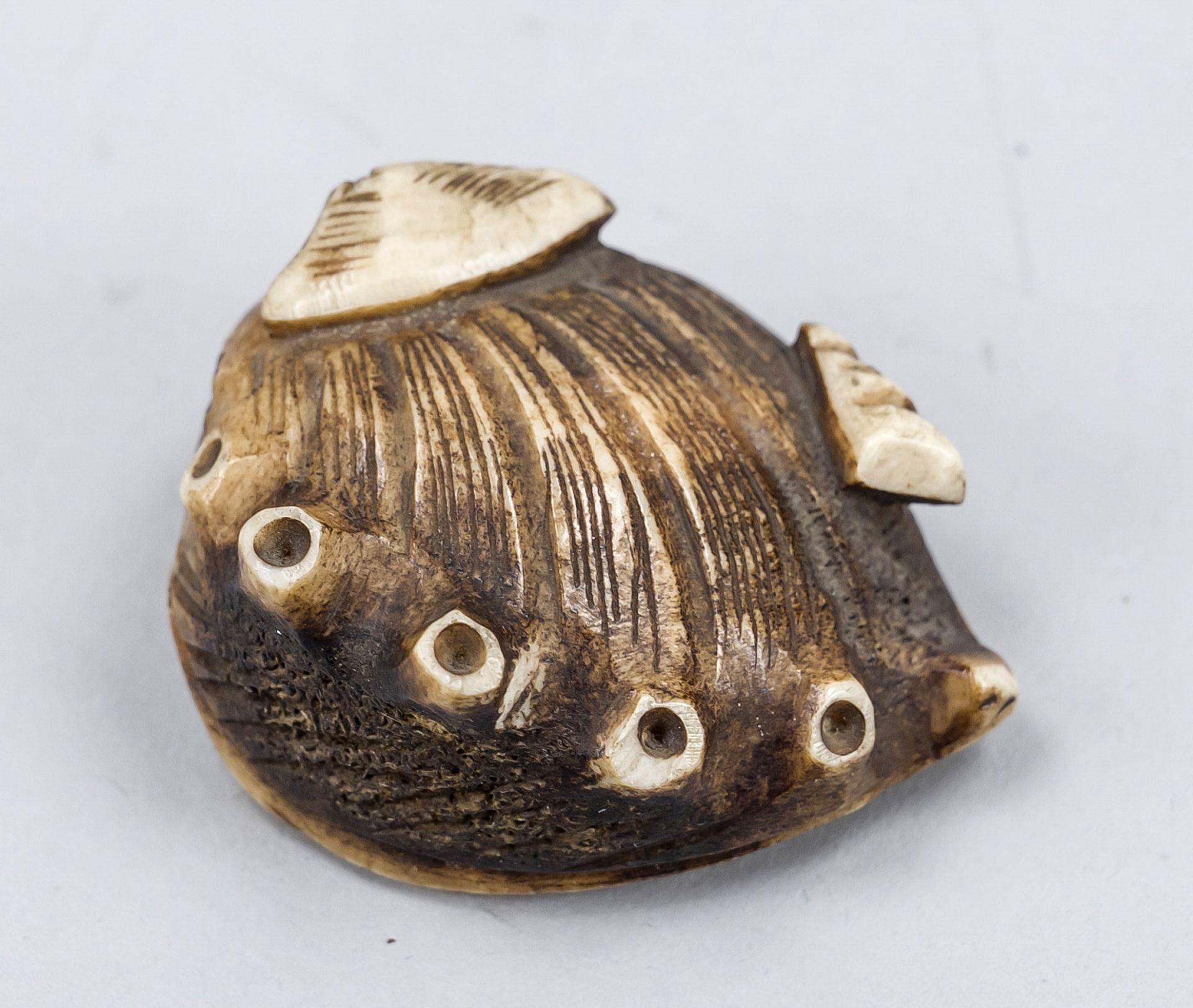 Netsuke in the shape of a shell (Awami), Japan 19th century (Meiji), bone, signed, d. 4 cm