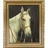 W. Bach, animal painter c. 1910, portrait of a horse, oil on canvas, signed lower right, 50 x 40 cm,