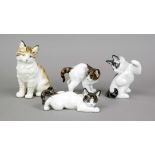 Vier Katzen, 3 Katzen Rosenthal