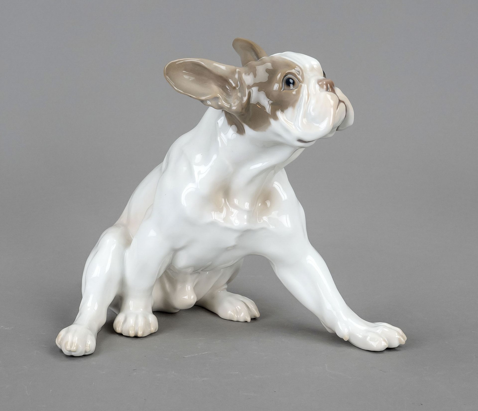French bulldog so-called ''Bully'', Bing & Gröndahl, Copenhagen, 1950-70, 2nd choice, design Dahl