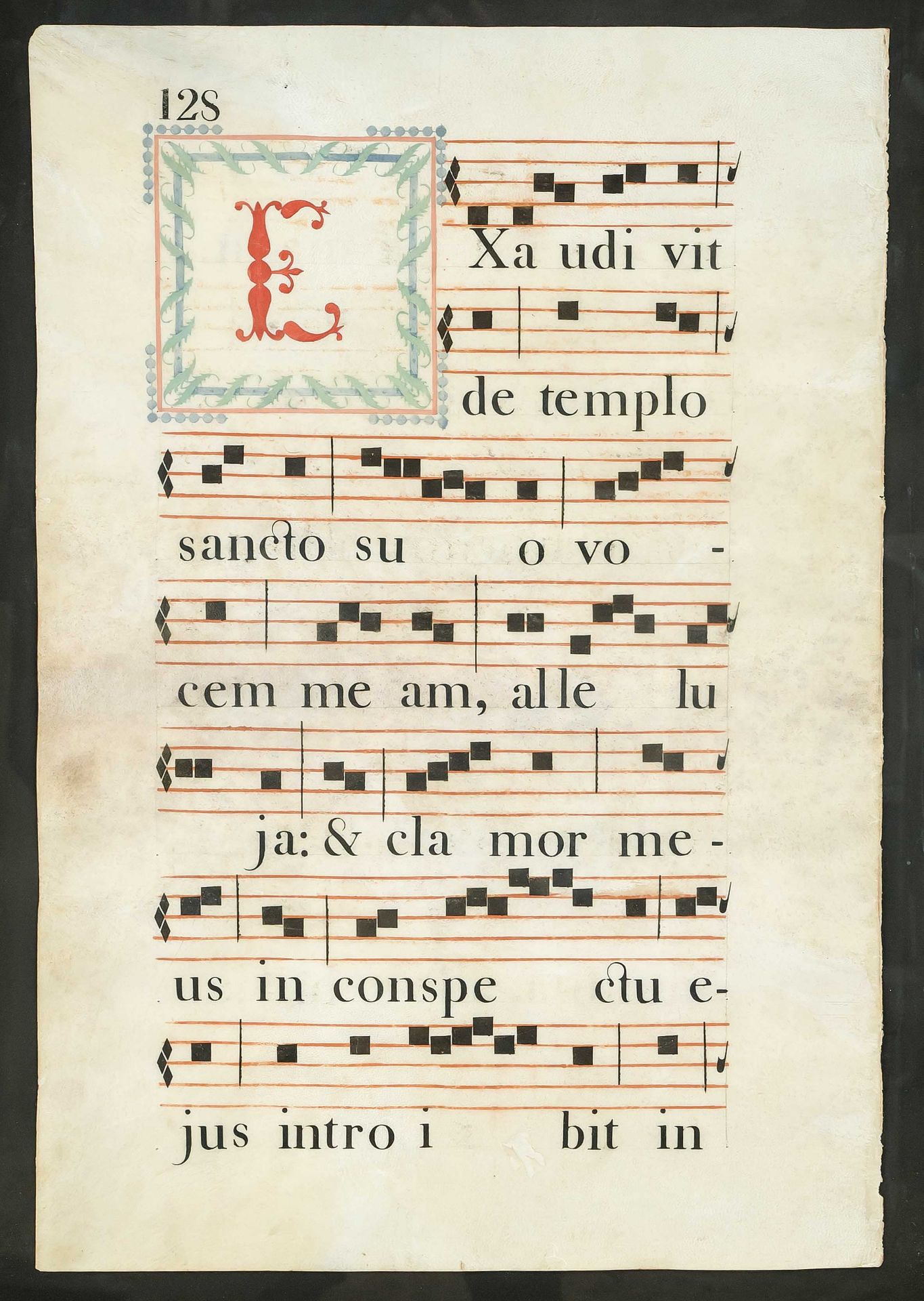 Two antiphonary leaves, probably 17th/18th century, parchment. Large colored initials, framed behind - Image 2 of 3