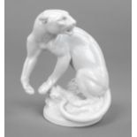 Snarling panther, Weimar porcelain, Blankenheim, Thuringia, mark from 1837, design by Erich Oehme (