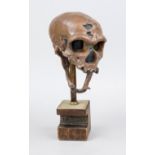 Skull of a Neanderthal man, 20th century, colored plastic, replica of the find from La Chapelle-