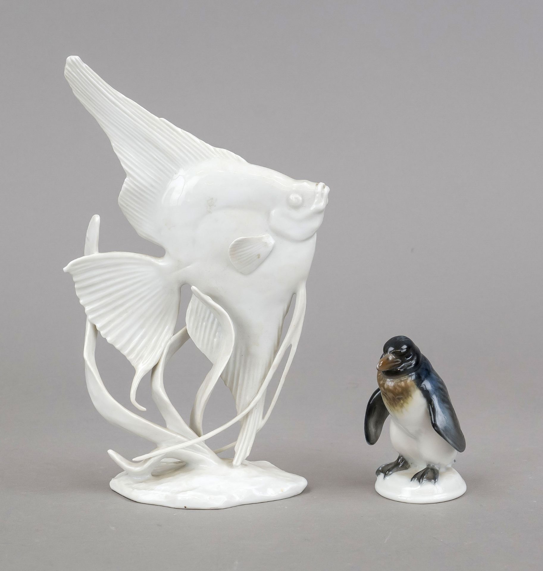 Fisch und Pinguin, Rosenthal, M