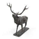 Anonymous sculptor 1st half 20th century, roaring stag, dark patinated bronze on rectangular plinth,