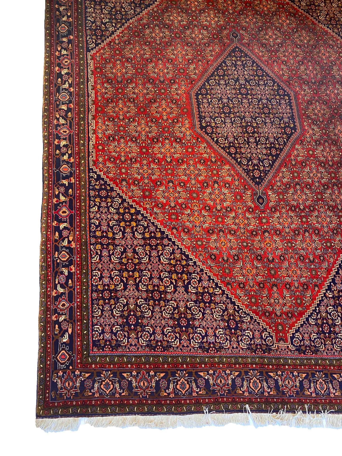 Carpet, Bidjar, good condition, 360 x 260 cm - The carpet can only be viewed and collected at