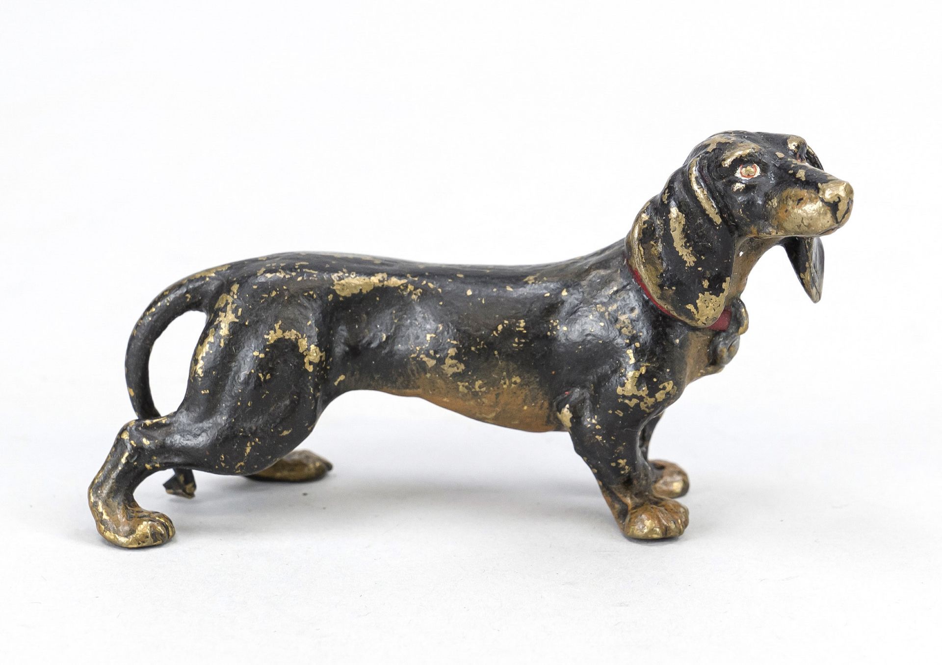 Small bronze in the style of Viennese bronzes, 20th century, dachshund, polychrome cold-painted