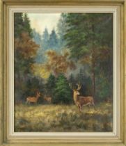 H. Klein, hunting painter 2nd half 20th century, Forest clearing with deer, oil on canvas, signed