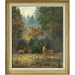 H. Klein, hunting painter 2nd half 20th century, Forest clearing with deer, oil on canvas, signed