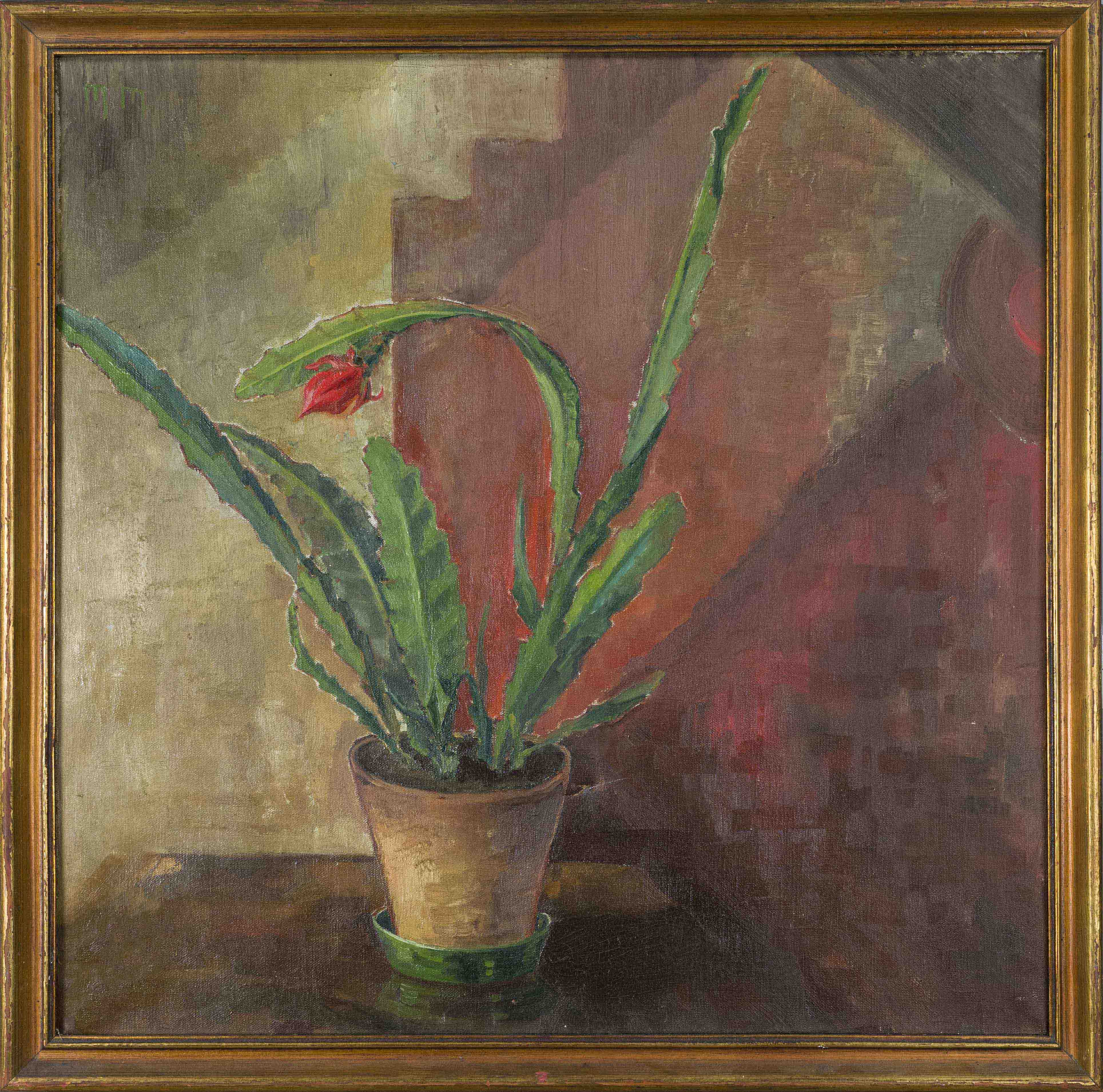 Monogrammist MM, 1st half of the 20th century, Still life with cactus plant, oil on canvas,