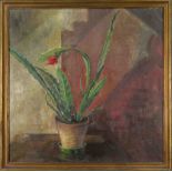 Monogrammist MM, 1st half of the 20th century, Still life with cactus plant, oil on canvas,