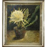 Ernst Müller-Scheessel (1863-1936), Still Life with Blooming Cactus (Queen of the Night), oil on