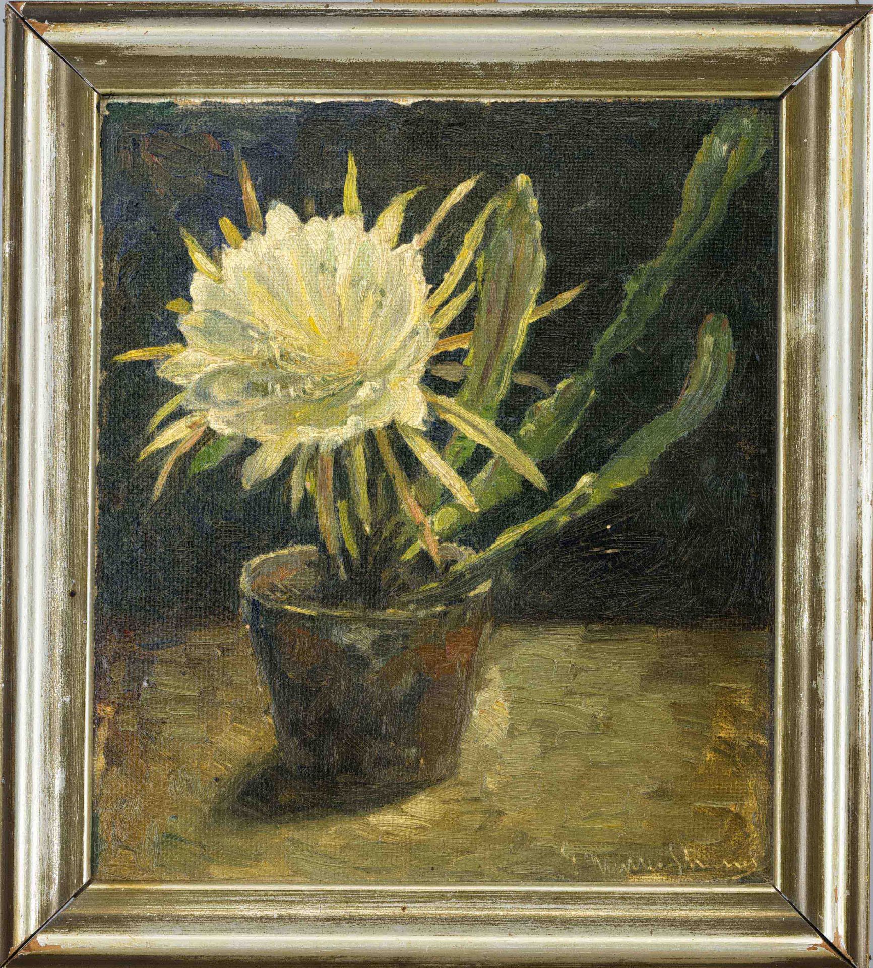 Ernst Müller-Scheessel (1863-1936), Still Life with Blooming Cactus (Queen of the Night), oil on