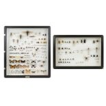2 display cases/showcases with insects, older collection. In good condition, fitted and marked