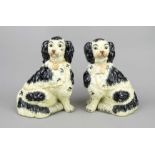 Pair of captain's dogs, England, 19th century, two sitting spaniel dogs, ceramic, lightly painted in