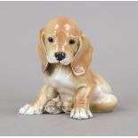 Sitting dachshund, Allach, Bavaria, stamped company mark with rune mark 1936-1945, embossed model