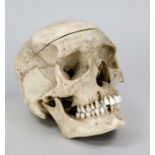 Human skull as an anatomical model, 20th century Removable skullcap, jaw held together with spring