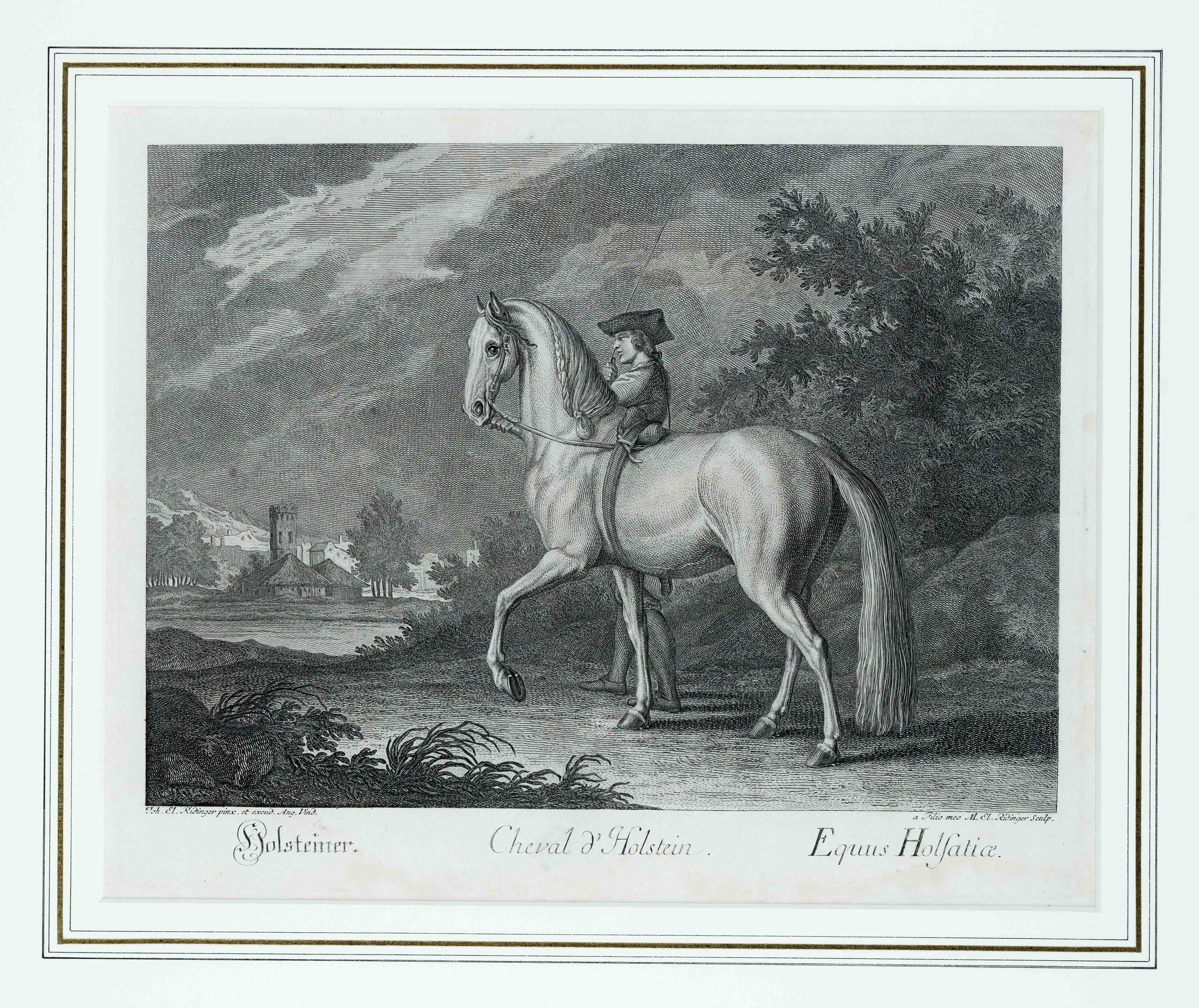 Johann Elias Ridinger (1698-1767), bundle of 6 etchings from the so-called small riding school, ''