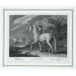 Johann Elias Ridinger (1698-1767), bundle of 6 etchings from the so-called small riding school, ''