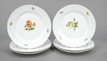 Six dinner plates, Nymphenburg, mark 1925-75, basket relief rim, polychrome floral painting, Ø 24.