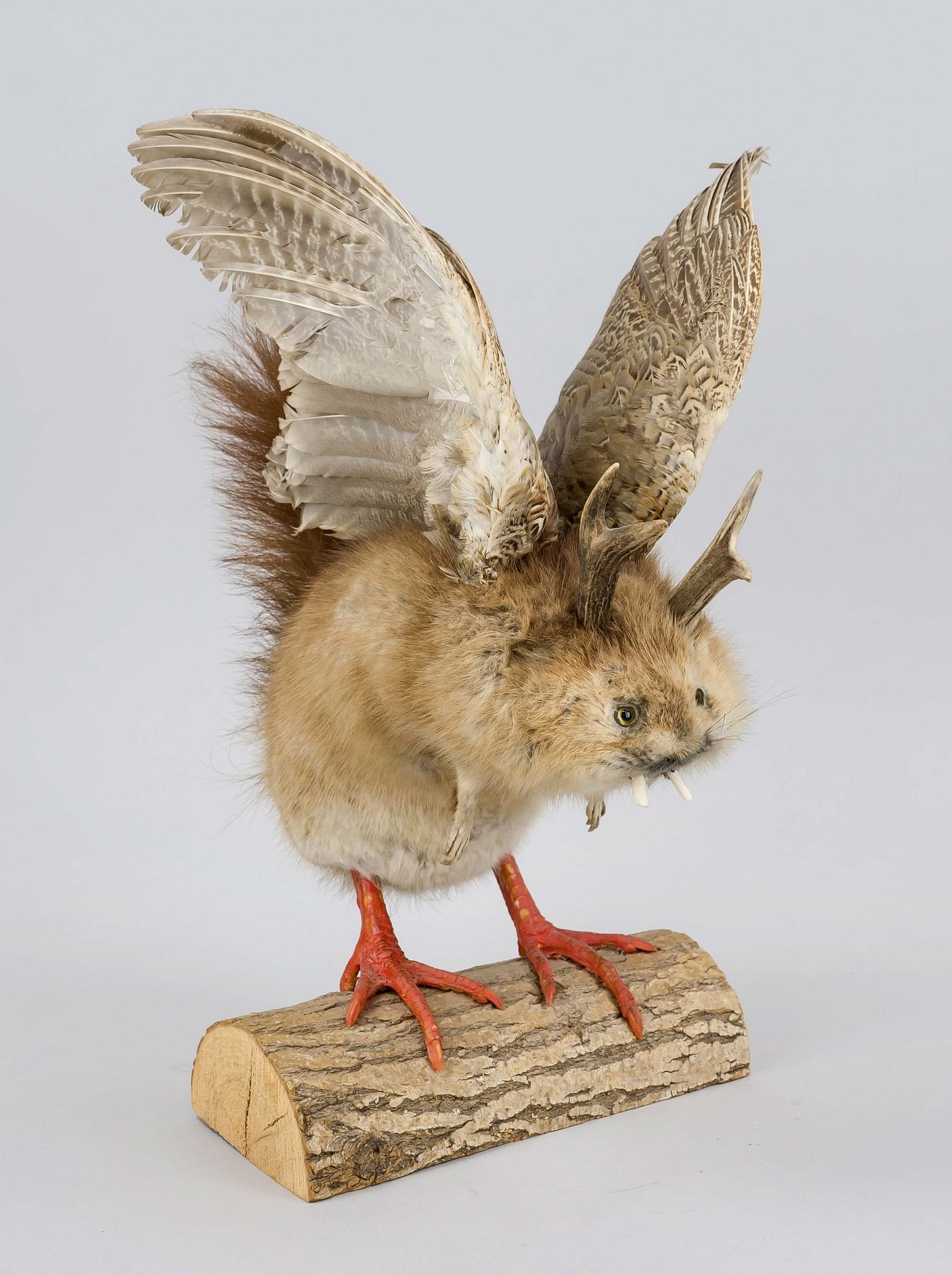 Wolpertinger, 1st half of the 20th century, Southern Germany or Austria. Taxidermy composed of