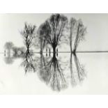 Mixed lot of 11 photographic prints by various 20th century photographers, including trees reflected